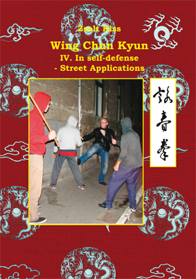 Wing Chun Book 4